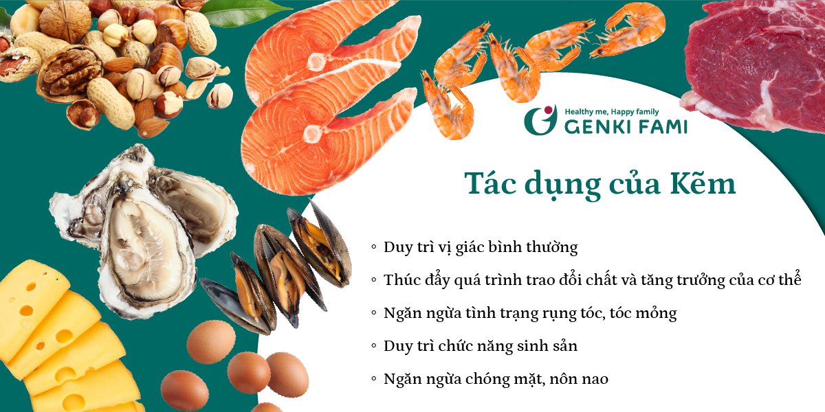 Tác dụng của Kẽm