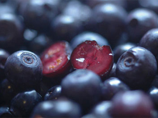 anthocyanin