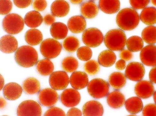 Trang chủ - Genki Fami - Sức Khoẻ Cho Gia Đình Yêu Thương