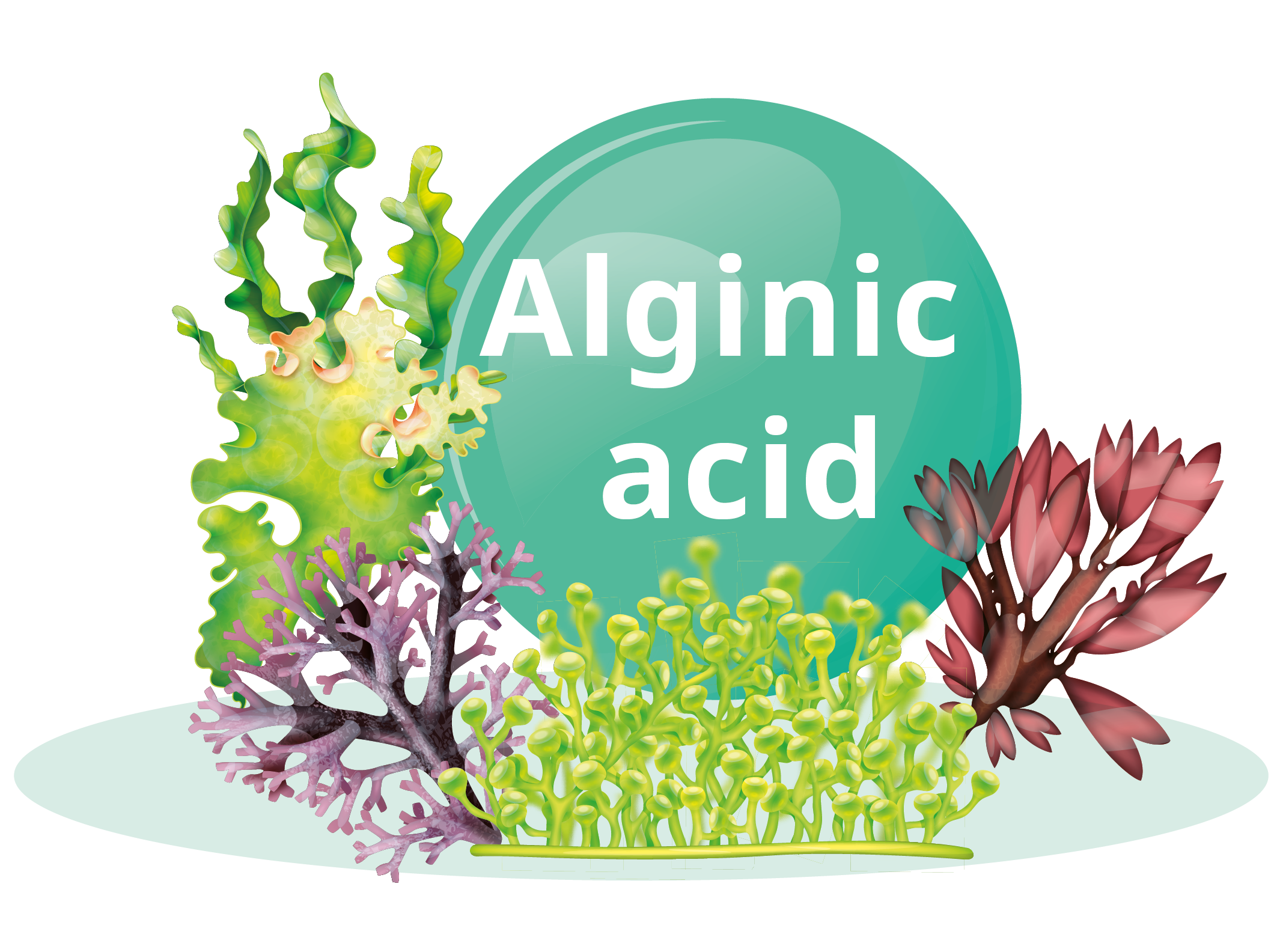 ALALA - Genki Fami - Sức Khoẻ Cho Gia Đình Yêu Thương