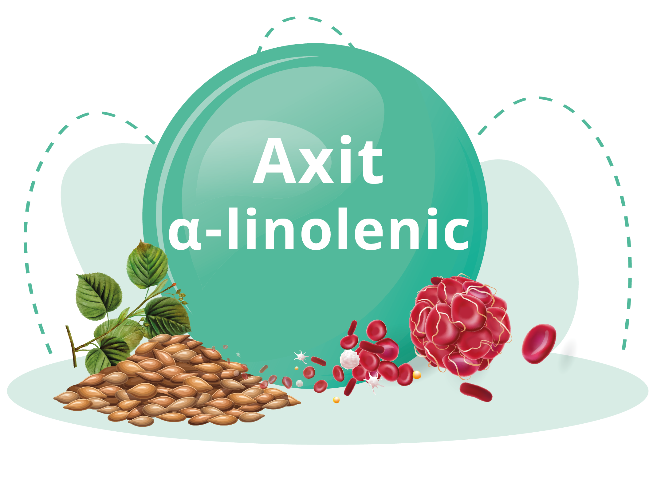 Anthocyanin - Genki Fami - Sức Khoẻ Cho Gia Đình Yêu Thương