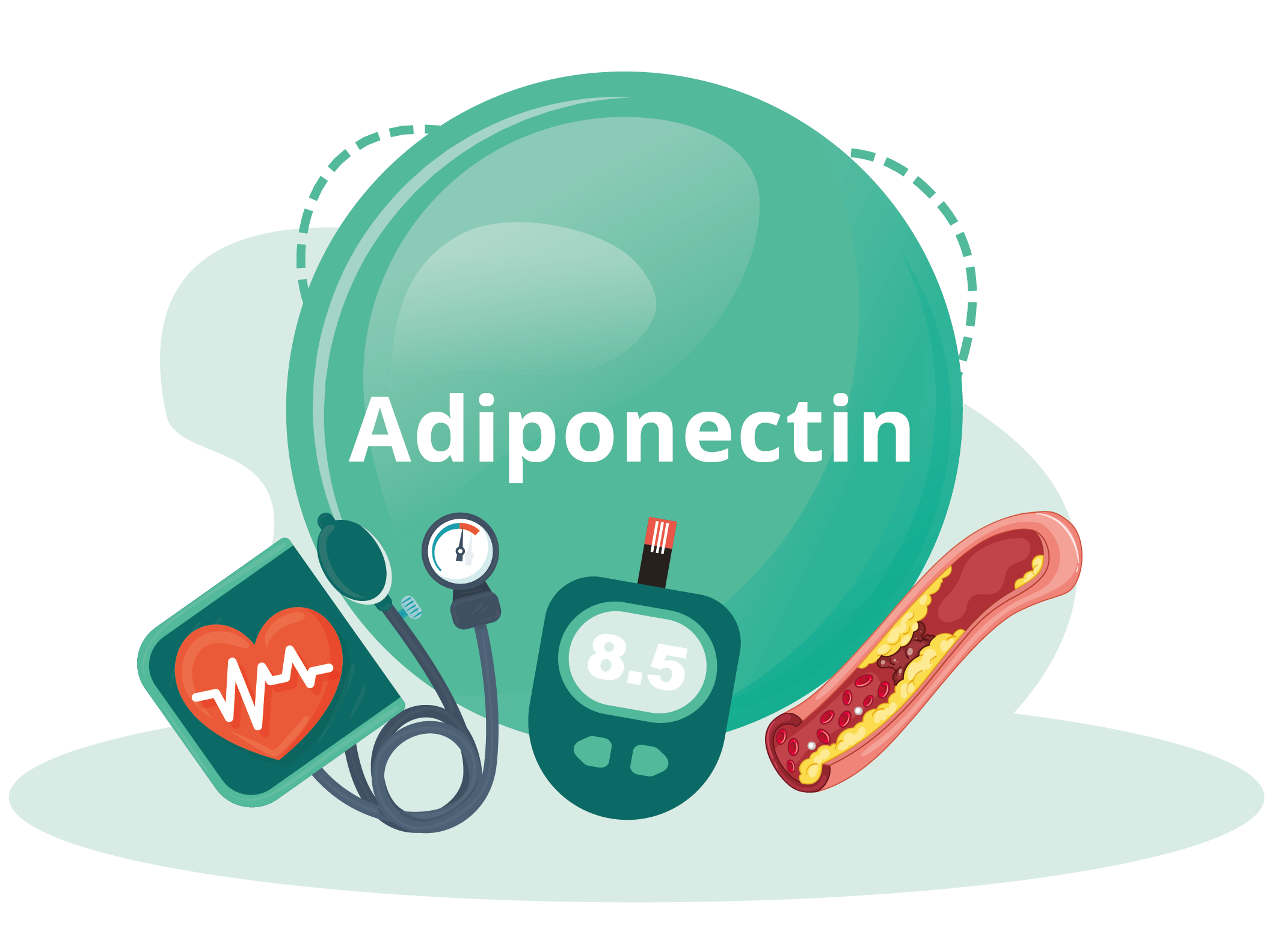 Xơ cứng động mạch - Genki Fami - Sức Khoẻ Cho Gia Đình Yêu Thương