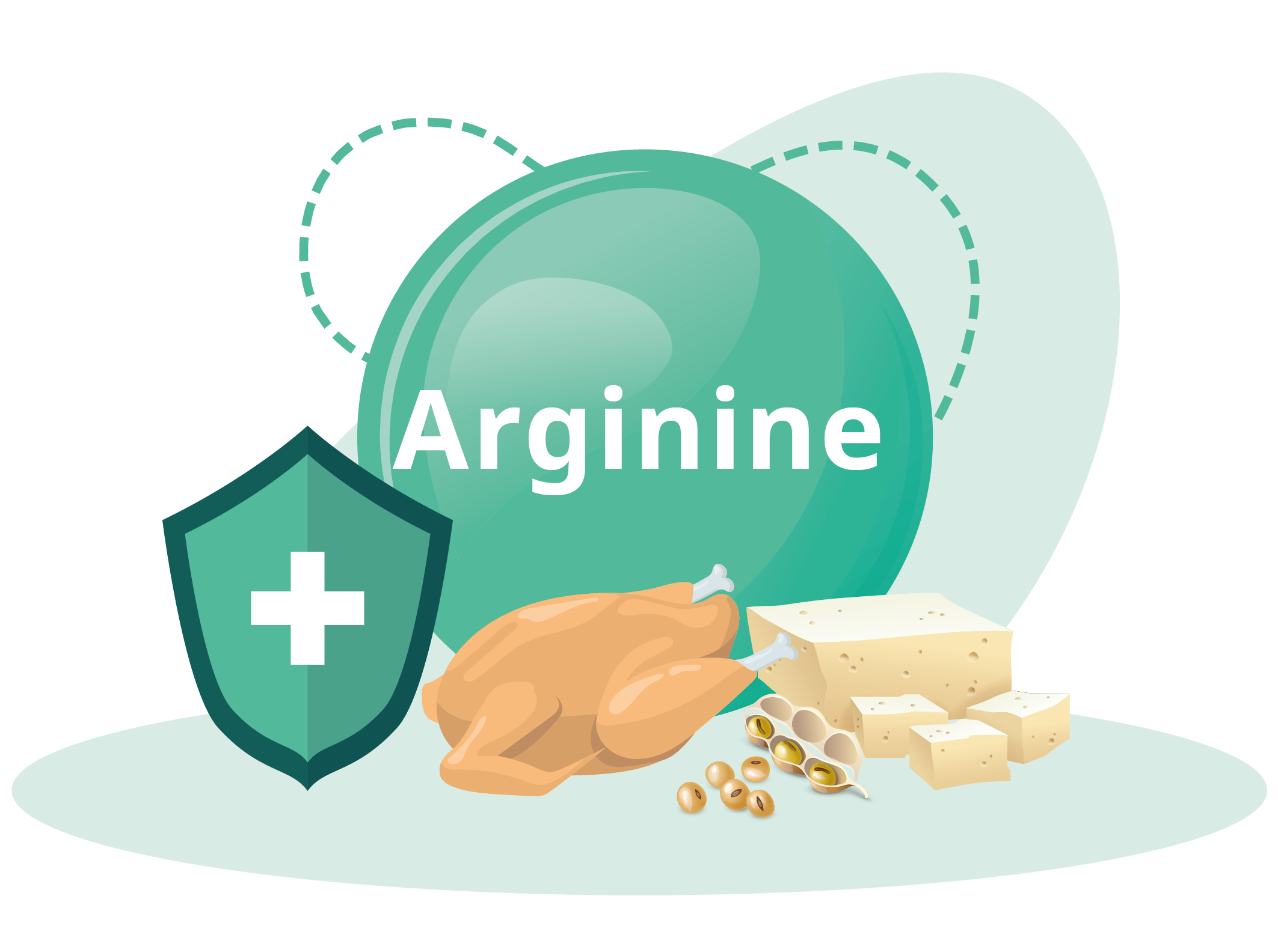 Arginine - Genki Fami - Sức Khoẻ Cho Gia Đình Yêu Thương